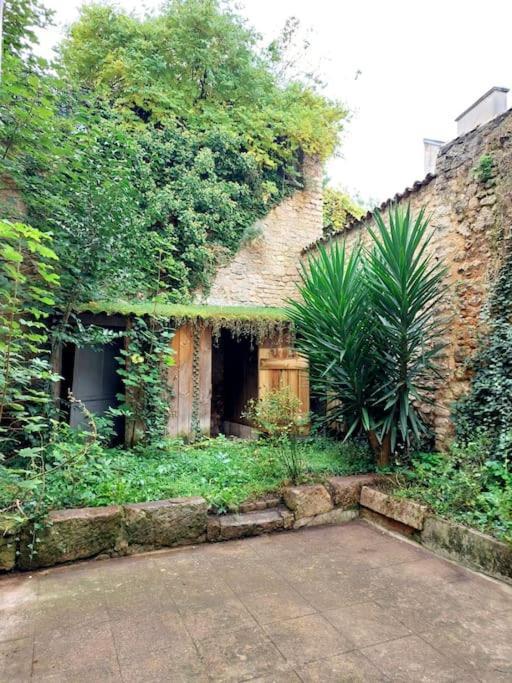 Le Patio - Cinelodge Avec Jardin Poitiers Esterno foto